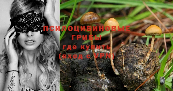 spice Надым