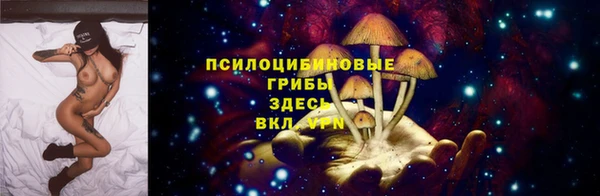 тгк Навашино