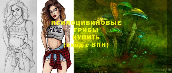 тгк Навашино