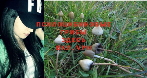 spice Надым