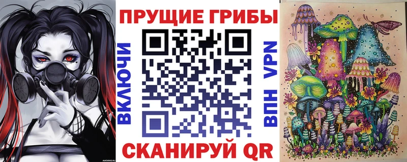 Псилоцибиновые грибы MAGIC MUSHROOMS  Сурск 